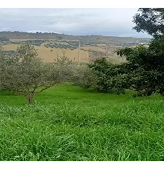 Foto annuncio 15