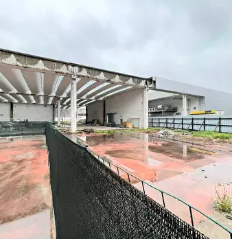 Foto annuncio 6