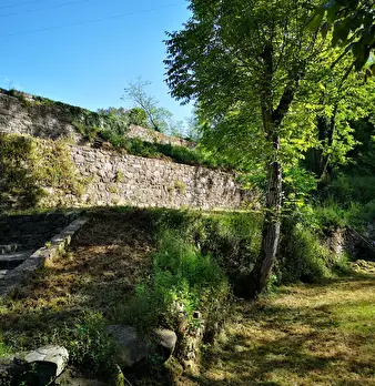 Foto annuncio 27