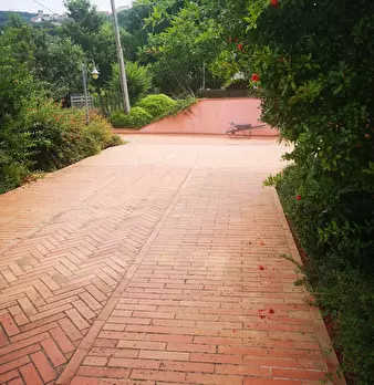 Foto annuncio 10
