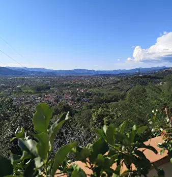 Foto annuncio 7