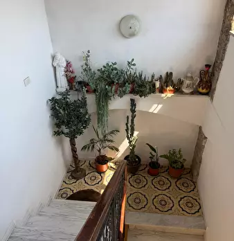 Foto annuncio 4
