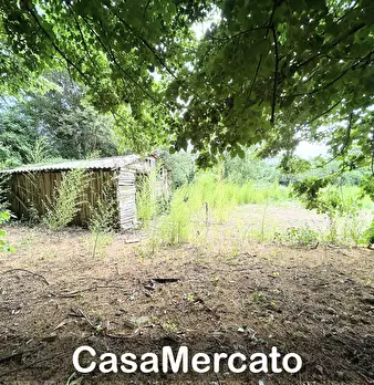 Foto annuncio 7