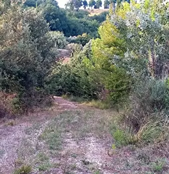 Foto annuncio 13