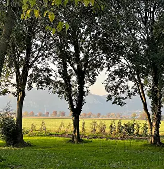 Foto annuncio 18