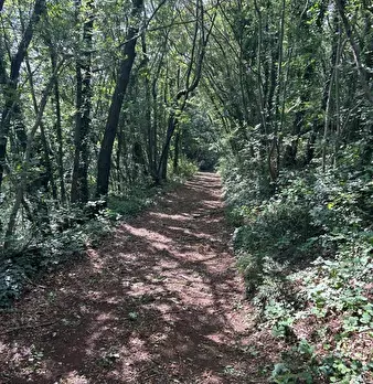 Foto annuncio 28