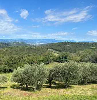 Foto annuncio 25