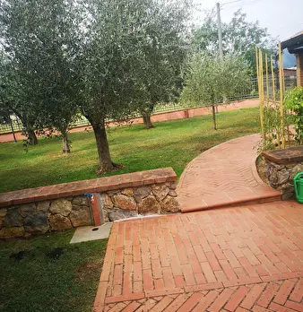Foto annuncio 28
