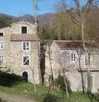 Foto annuncio 7