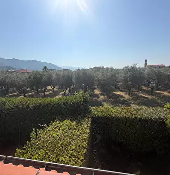 Foto annuncio 28