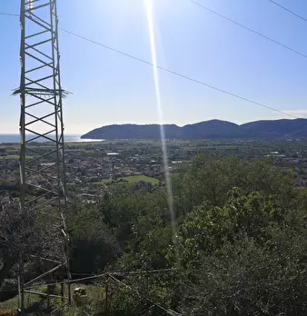 Foto annuncio 13