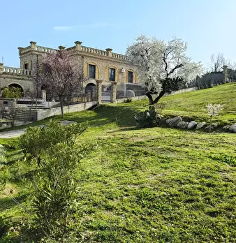 Foto annuncio 49