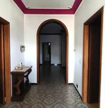 Foto annuncio 19