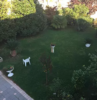 Foto annuncio 18