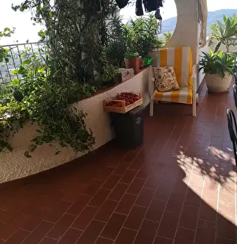 Foto annuncio 8