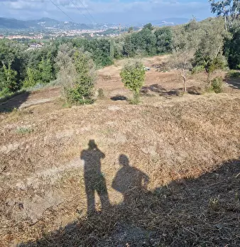 Foto annuncio 9