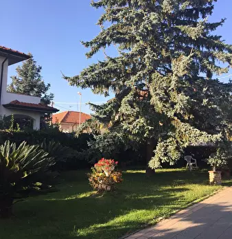 Foto annuncio 41