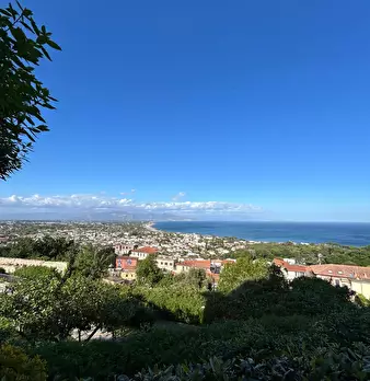 Foto annuncio 1