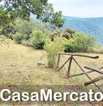 Foto annuncio 4