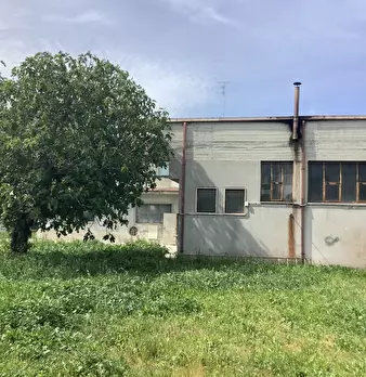 Foto annuncio 6