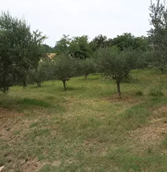Foto annuncio 4