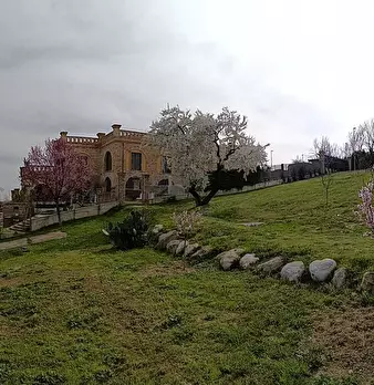 Foto annuncio 52