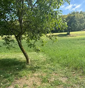 Foto annuncio 24