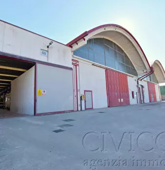 Foto annuncio 7