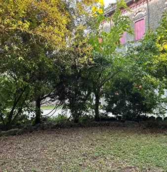 Foto annuncio 26