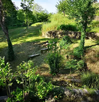 Foto annuncio 35