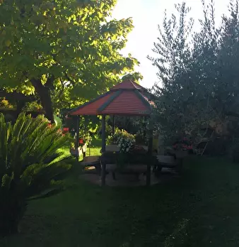 Foto annuncio 36