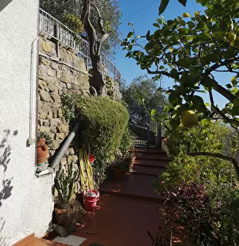 Foto annuncio 12