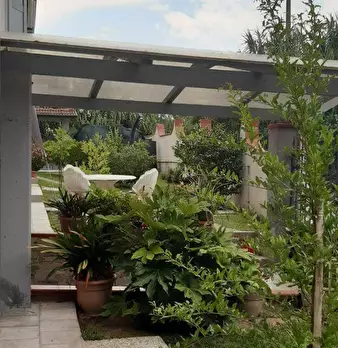 Foto annuncio 28