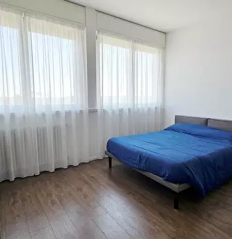 Foto annuncio 7