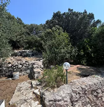 Foto annuncio 9