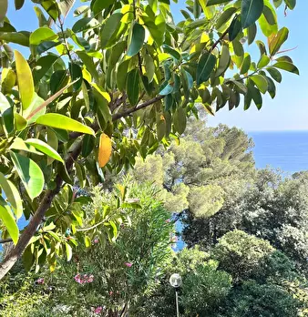 Foto annuncio 45