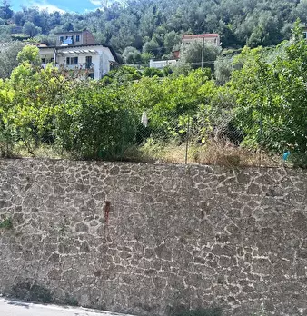 Foto annuncio 19