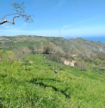 Foto annuncio 9