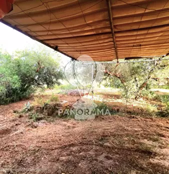 Foto annuncio 11