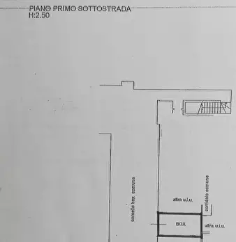 Foto annuncio 37