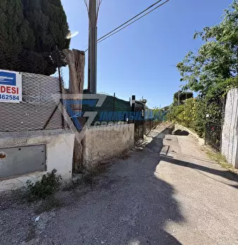 Foto annuncio 24
