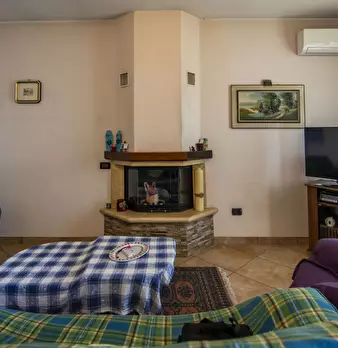 Foto annuncio 30