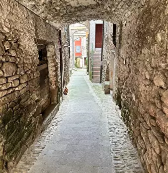 Foto annuncio 8