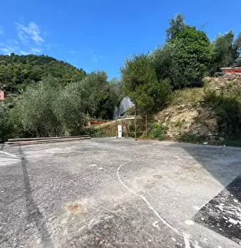 Foto annuncio 7