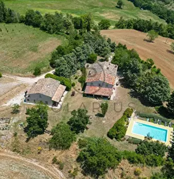Foto annuncio 11