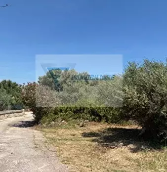 Foto annuncio 6