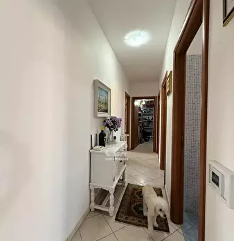 Foto annuncio 30