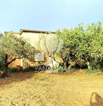 Foto annuncio 18