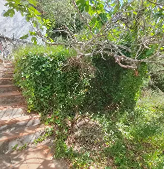 Foto annuncio 22