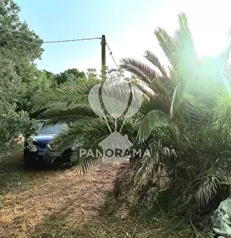 Foto annuncio 16